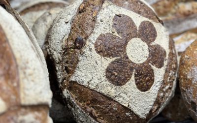 Les 5 bonnes raisons de manger du pain 