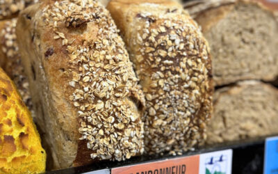 Le pain aux céréales en boulangerie : une valeur sûre