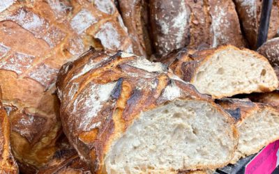 Le pain et ses bienfaits : explications du Comptoir du Pain